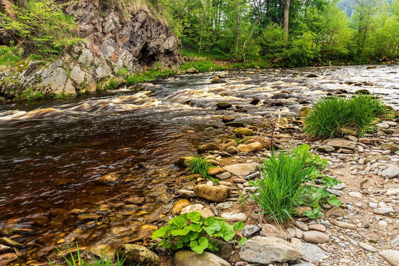 Penzion Rejstejn Bagian luar foto